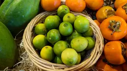 648-fruits-citrons-kaki-local-bio-biocoop-bellerive-vichy-magasin-alimentation.webp