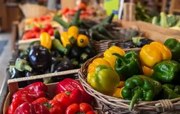 648-legumes-poivrons-aubergines-local-bio-biocoop-bellerive-vichy-magasin-alimentation.webp