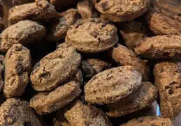 648-vrac-cookies-bio-local-biocoop-bellerive-vichy-magasin-alimentation.webp