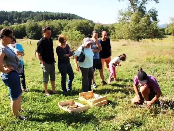 Les sens en herbe