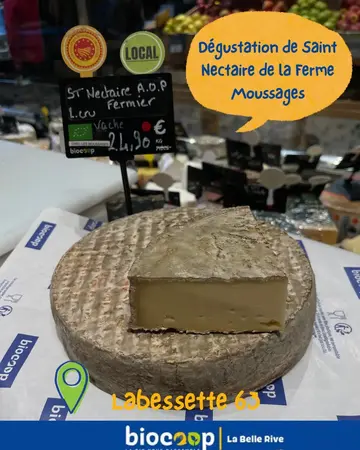 Dégustation St-Nectaire de la Ferme des Moussages 