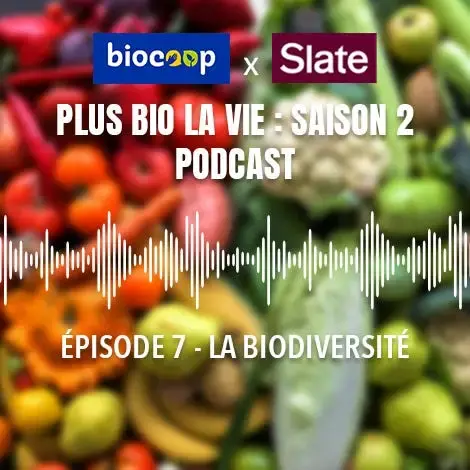Podcast Plus bio la vie : La saisonnalité, la clé pour bien consommer ? Podcast Plus bio la vie : La saisonnalité, la clé pour bien consommer ?