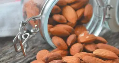 En mars, découvrez les bonnes raisons d’adopter le zéro-déchet En mars, découvrez les bonnes raisons d’adopter le zéro-déchet